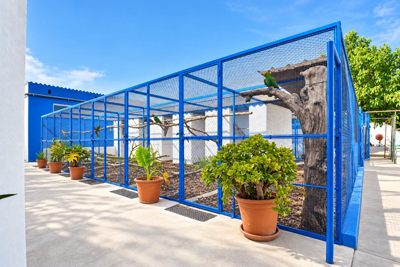 Outdoor aviaries